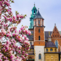 5 propozycji letnich atrakcji w&nbsp;Krakowie i&nbsp;okolicy